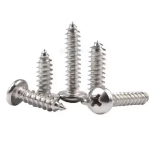 SS Screw